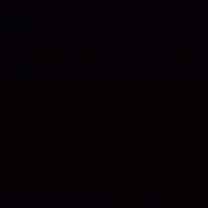 bermudatraingle avatar