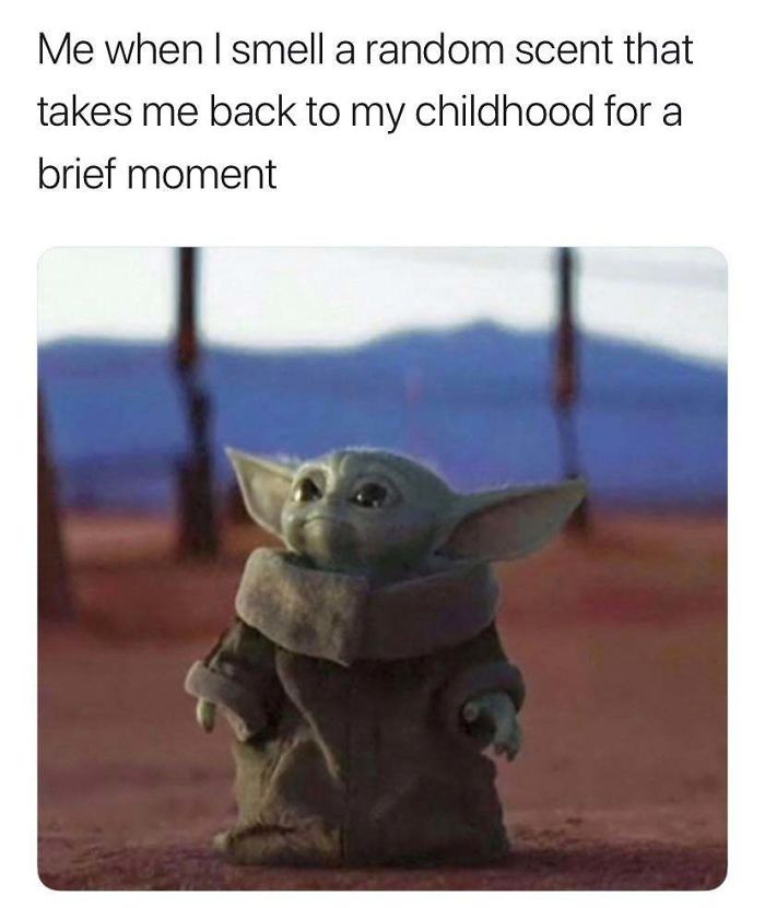 30 Baby Yoda Memes To Save You From The Dark Side Bored Panda