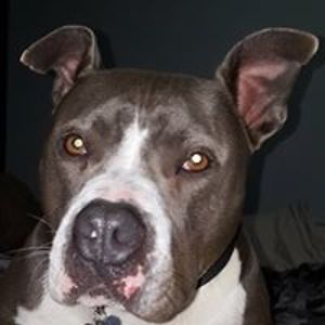 synjyn69_1966 avatar