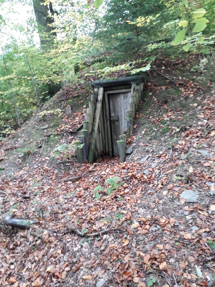 Saw This In A Forest In Germany. What Is This Thing?