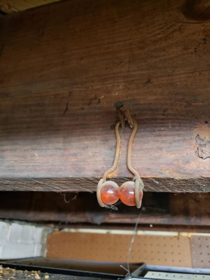 I Found This Hanging From The Basement Rafters Of My 100 Year Old House. It Appears To Be Two Marbles Or Something Similar In A Hanger Of Some Sort. Any One Have A Clue What This Could Be?