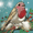 pauliusnarkeviius avatar