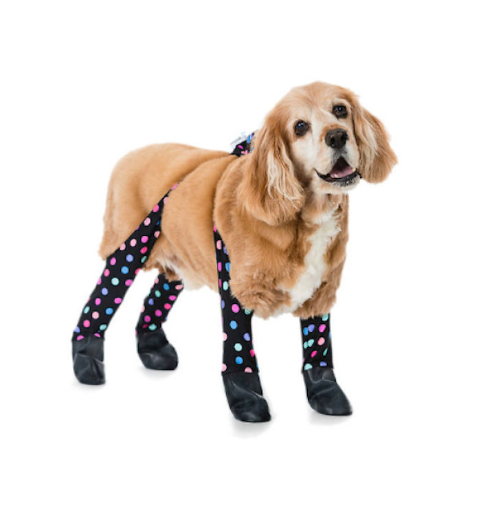 Dog Leggings Exist To Keep Your Dog Warm