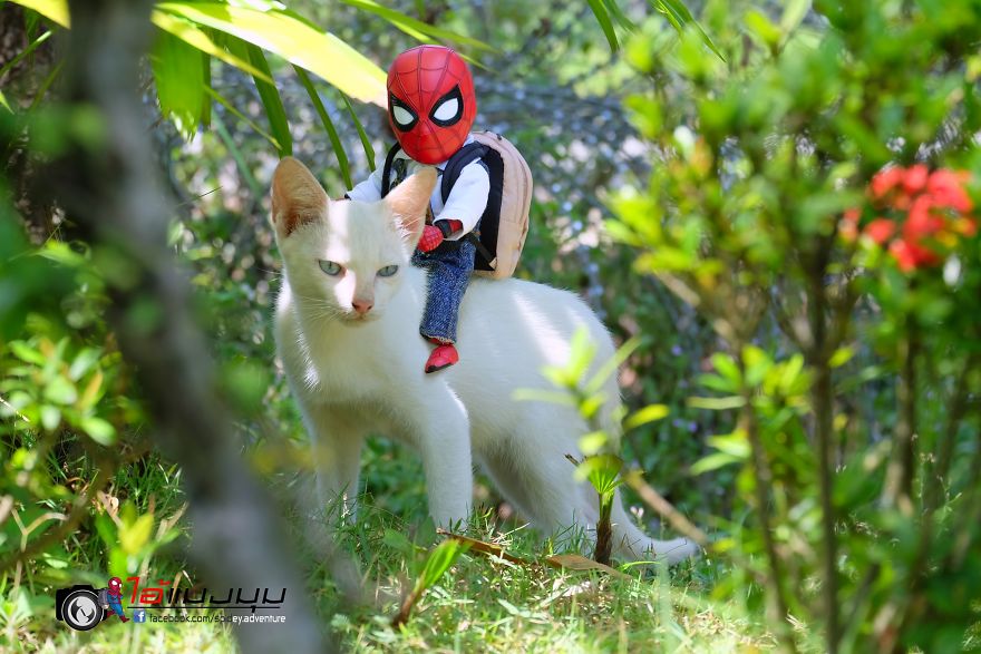See The Adventures Of A Mini Spiderman With Lovely Cats Created By A Thai Artist