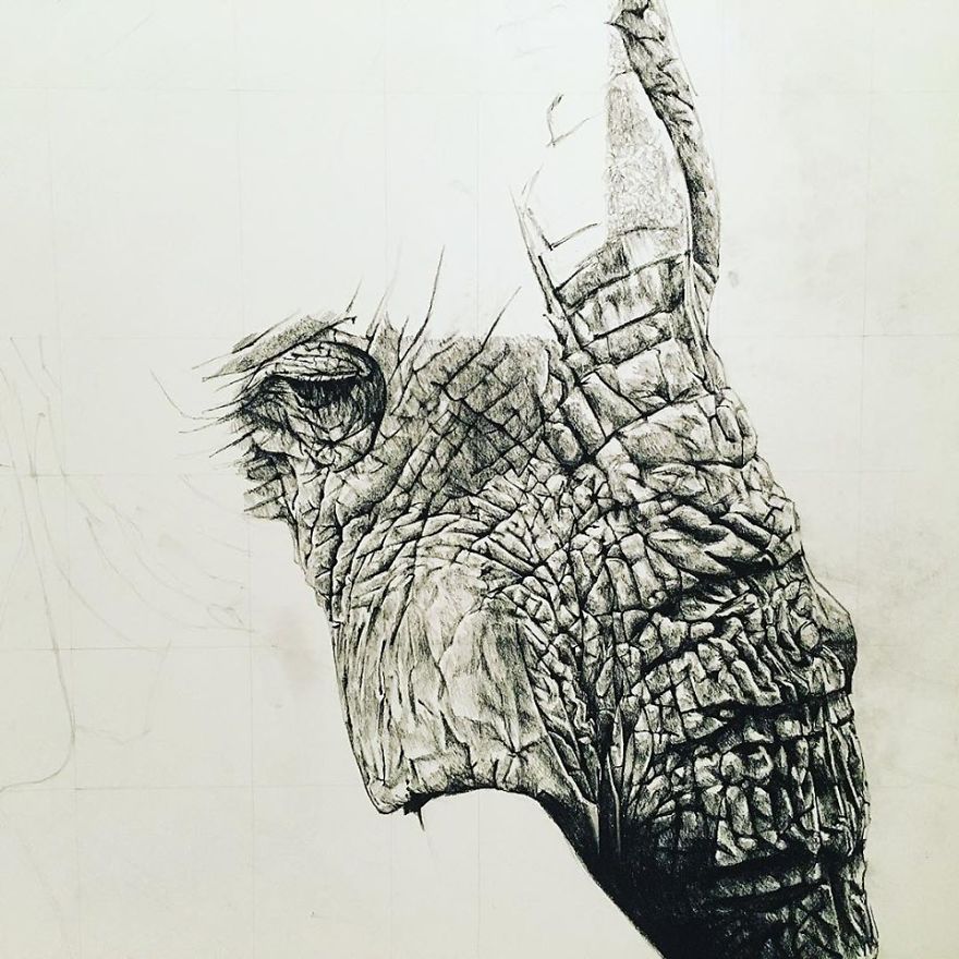 This Is "The Elephant", My Last Hyper Realistic Drawing