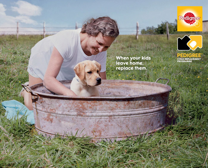 Campaign-shows-in-powerful-ads-the-importance-of-a-dog-in-your-life-5dc27c90f1752__700