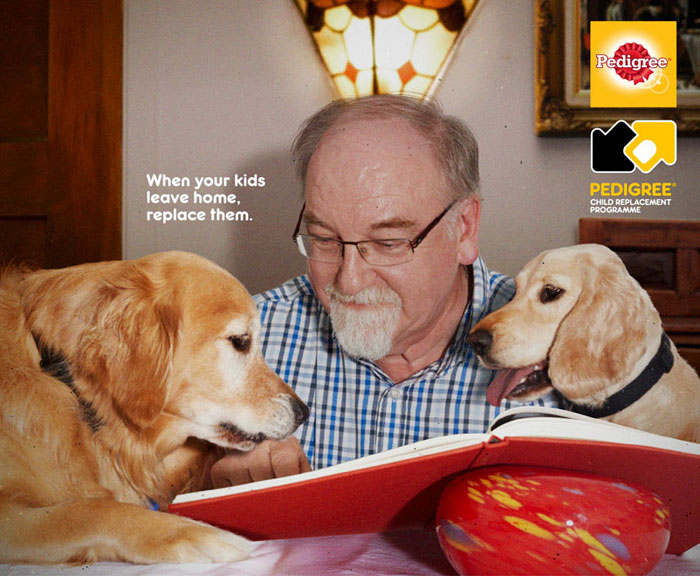 Ad Campaigns Tell How A Dog Can Transform A Person's Life (16 Pics)