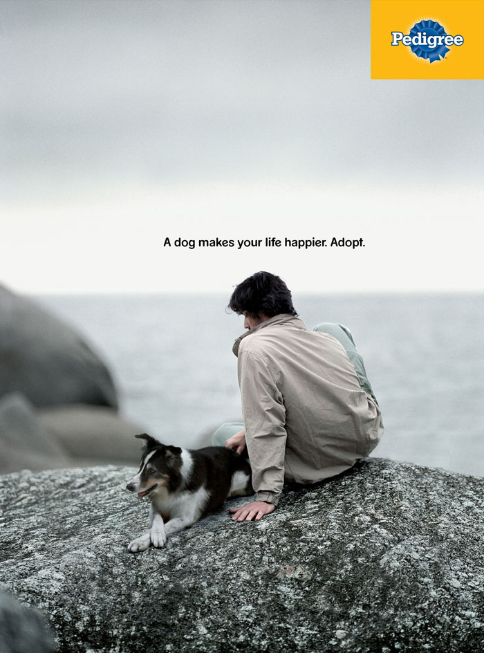 Ad Campaigns Tell How A Dog Can Transform A Person's Life (16 Pics)