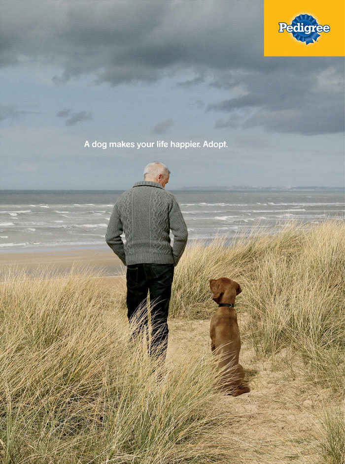 Campaign-shows-in-powerful-ads-the-importance-of-a-dog-in-your-life-5dc27d22dd068__700