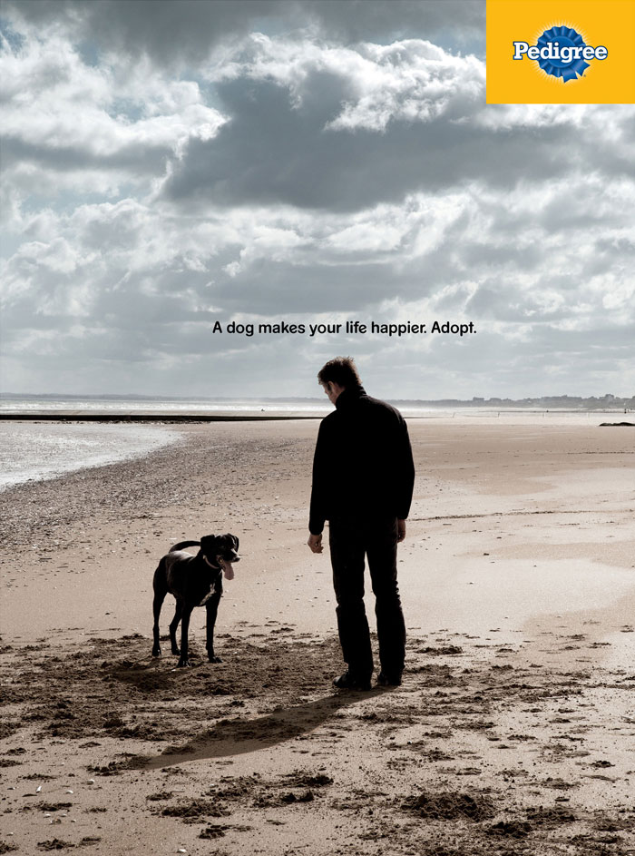 Campaign-shows-in-powerful-ads-the-importance-of-a-dog-in-your-life-5dc27d50c15cd__700
