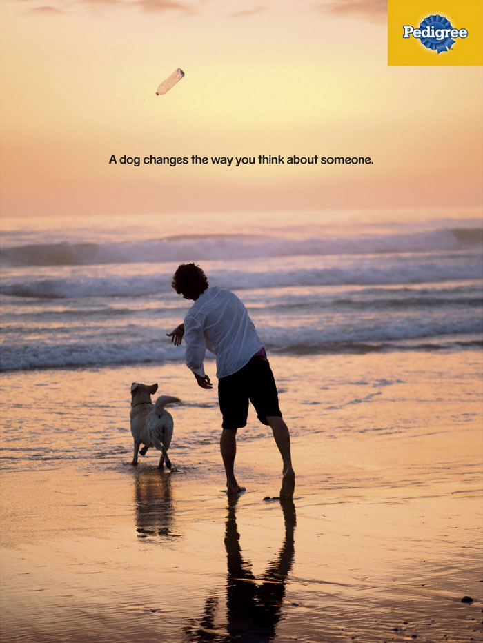 Campaign-shows-in-powerful-ads-the-importance-of-a-dog-in-your-life-5dc27e21e31fc__700