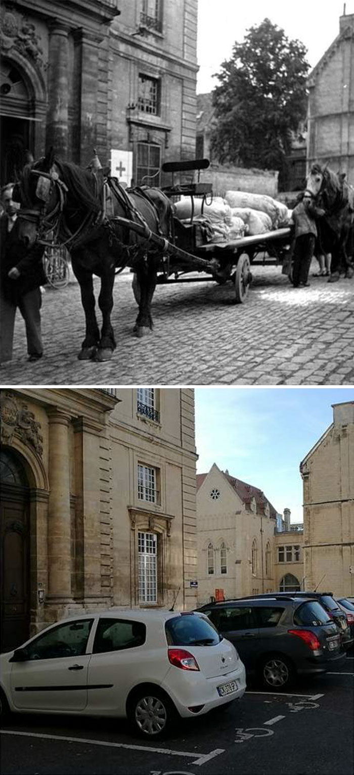 Horses Bring Food To Civilians Hidden In The Abbey
