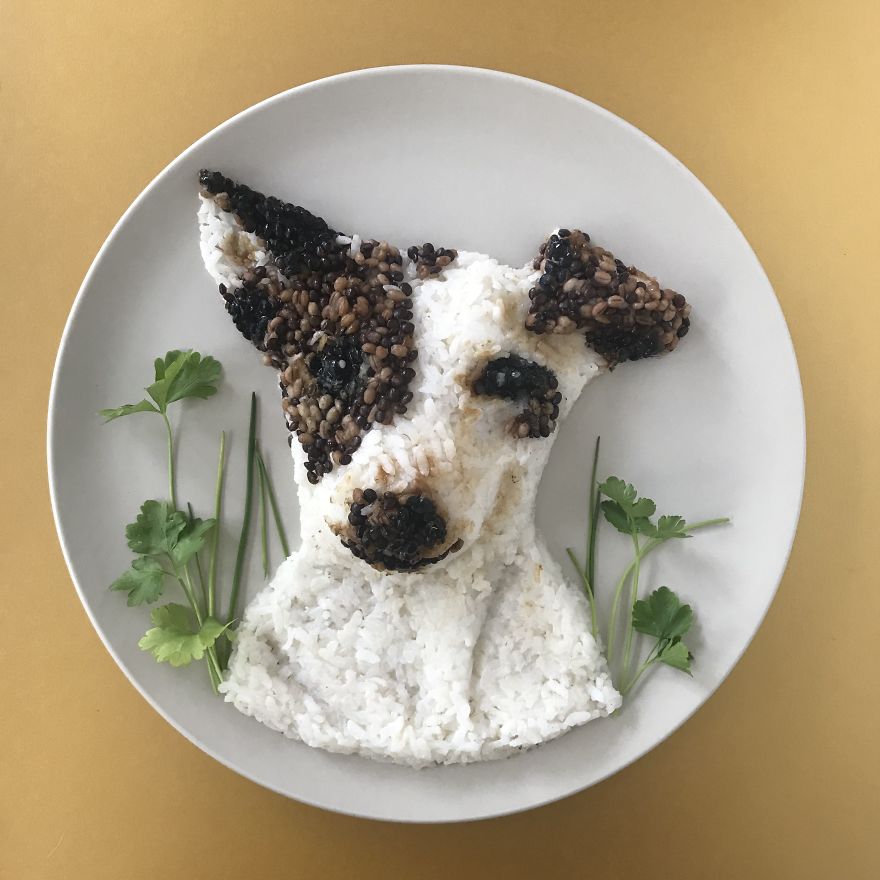 Meet Eddy, The Meal Prepper's Dog