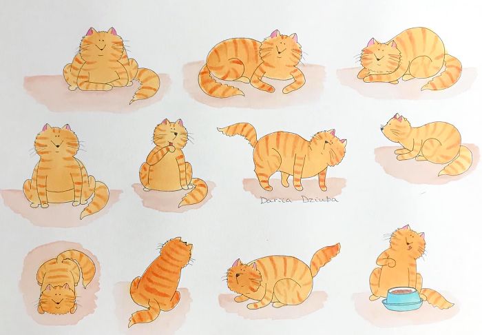 Eleven Ways Of Sitting, Lying, Standing... Being A Cat