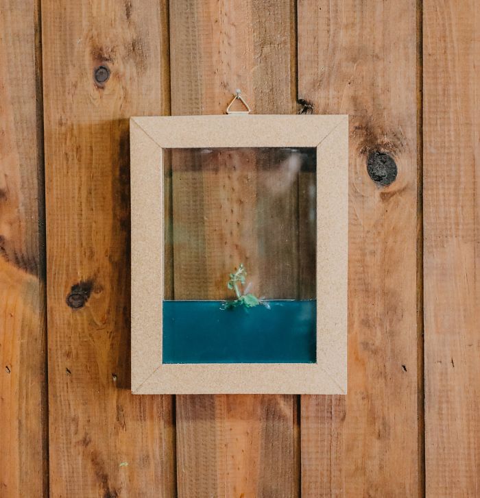 I Made This Self-Sustainable Ecosystem In A Cork Frame