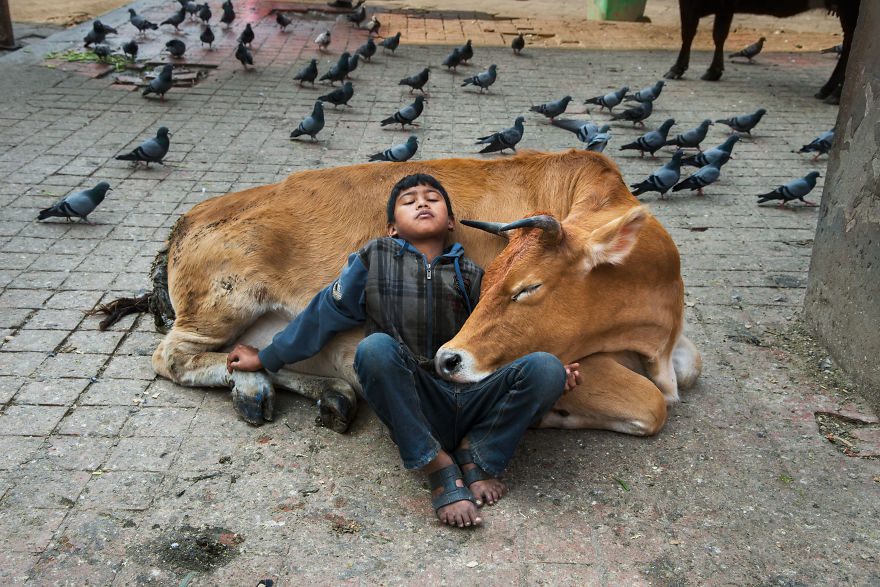 30 Photographs That Explore The Relationship Between Animals And Humans By  Steve McCurry | Bored Panda