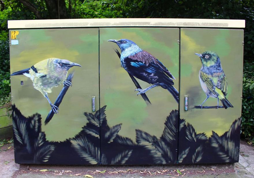 "Tuis In Aro Valley" By David Marshall