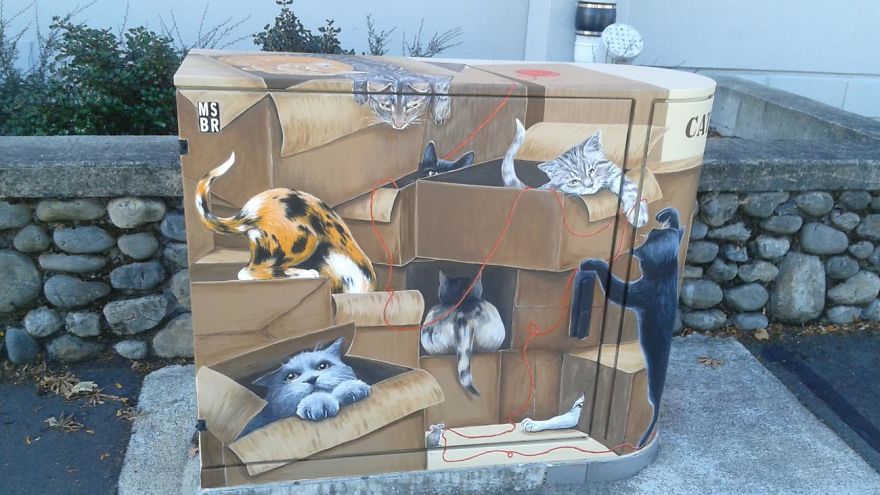 "My Cat Likes To Hide In Boxes" By Viv Walker