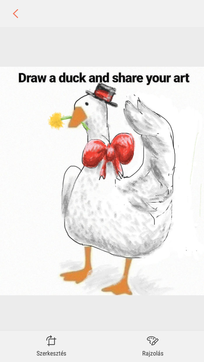My Duck :)