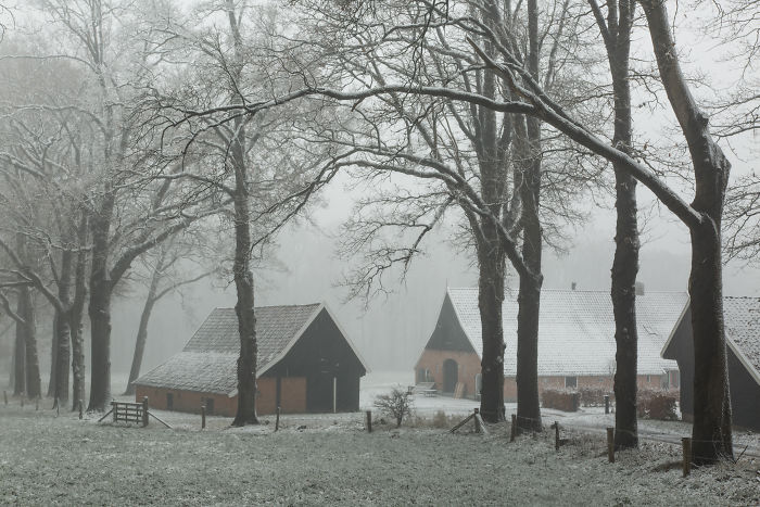 Snow-covered rural area in the Netherlands with traditional farmhouses and bare trees in a scenic countryside setting