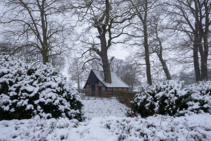 Snow-covered rural countryside in the Netherlands with a small house surrounded by leafless trees and shrubs.