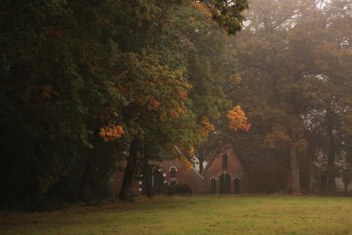 Rural area in the Netherlands with autumn trees and traditional countryside houses in a misty landscape.