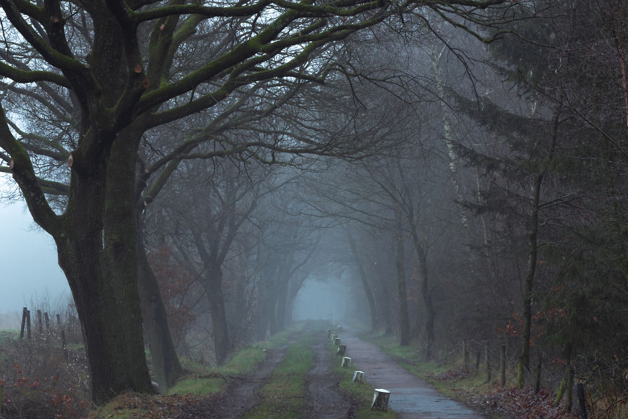 Misty Dirt-Road And Bicycle Lane