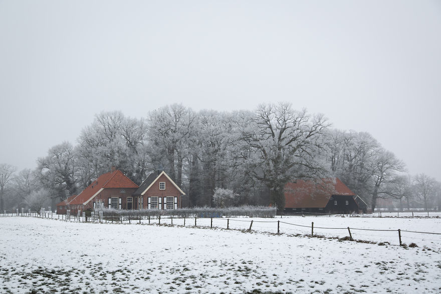 Winter At The Farmyard, Near Borne