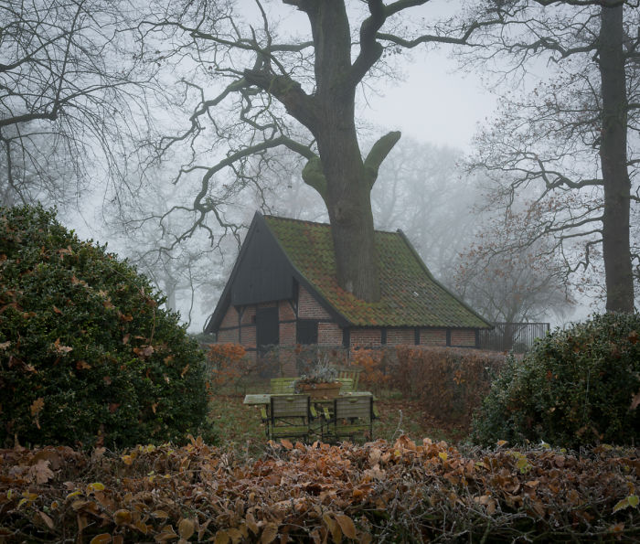Rustic rural area in the Netherlands with a moss-covered cottage surrounded by fog and autumn foliage in scenic countryside.