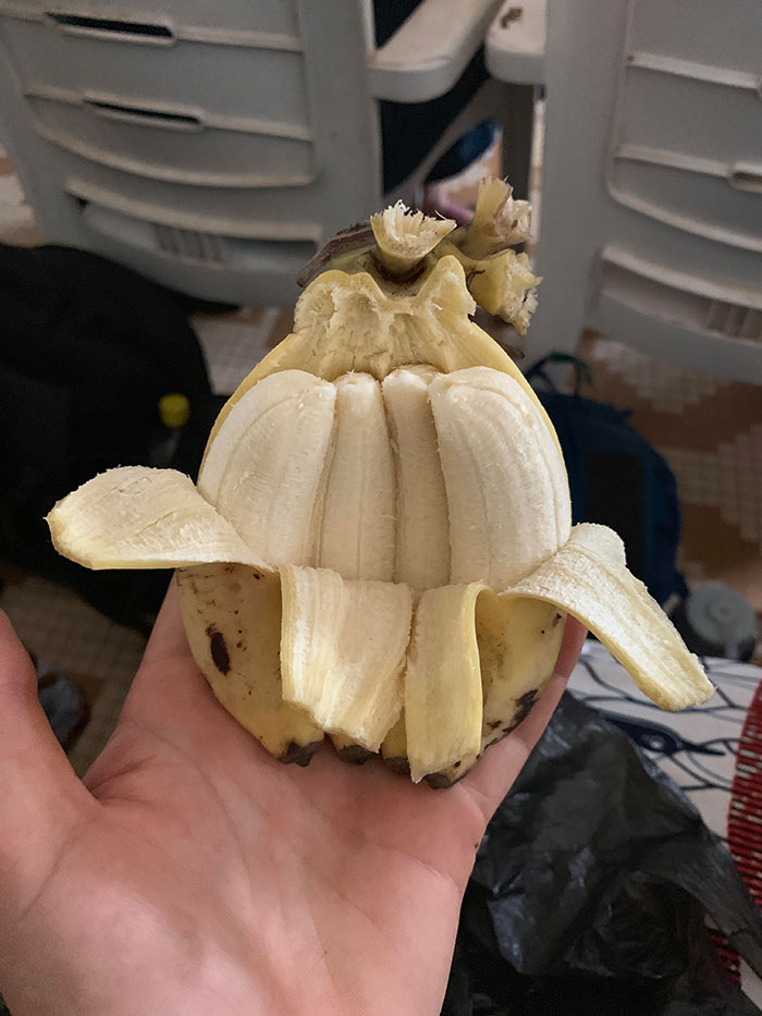 I Had A Quadruple Mini Banana This Morning