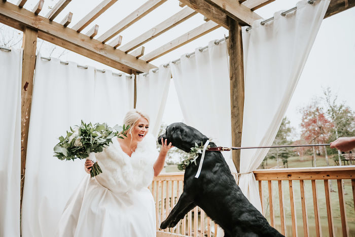 Bride's Decision To Bring Her Dog To Her 'First Look' Photoshoot Makes The Pics Go Viral