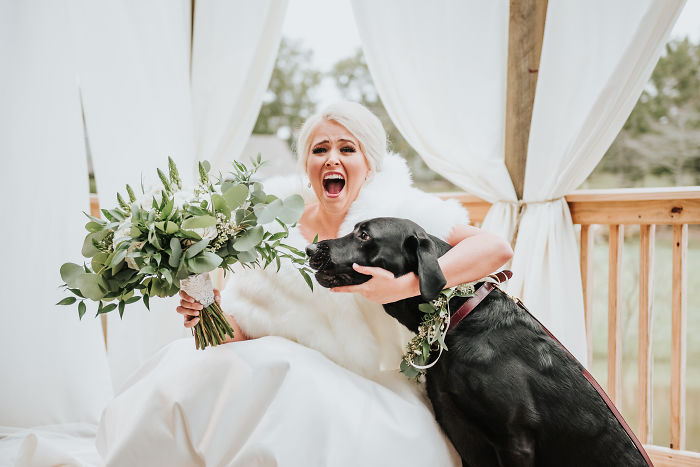 Bride's Decision To Bring Her Dog To Her 'First Look' Photoshoot Makes The Pics Go Viral