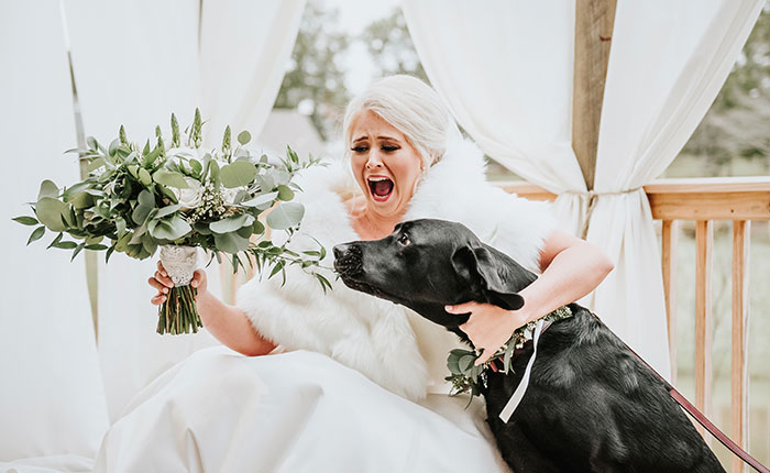 Bride’s Decision To Bring Her Dog To Her ‘First Look’ Photoshoot Makes The Pics Go Viral