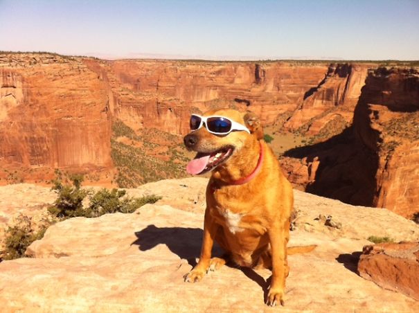 Me And My Girlfriend Visited Canyon De Chelly With Our Funky Dog