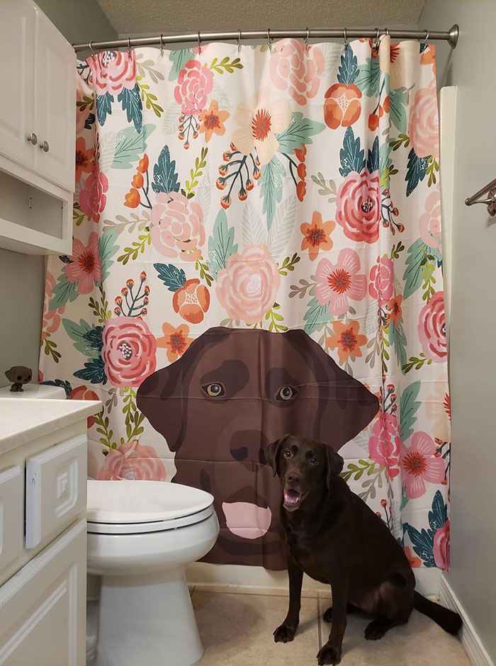 I Approve Of These Shower Curtains Human