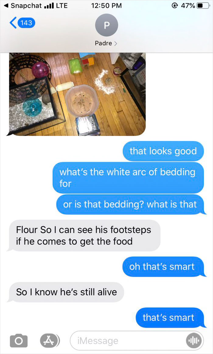 Dad Loses Daughter's Hamster, And His Freak-Out Texts Reveal How Pure His Heart Really Is