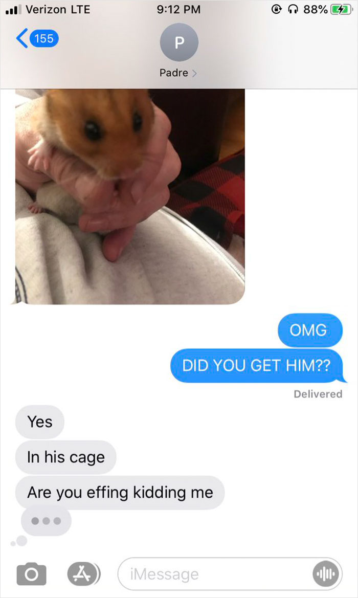 How do you find a hamster lost in the house Dad Loses Daughter S Hamster And His Freak Out Texts Reveal How Pure His Heart Really Is Bored Panda