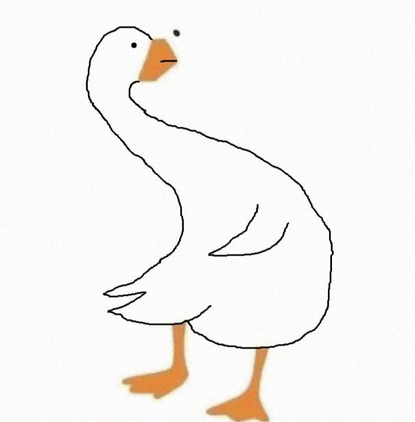 duck2-5dd6fa4e4dff8.jpg