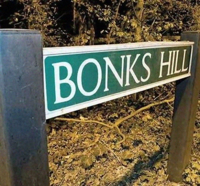 Bonks Hill