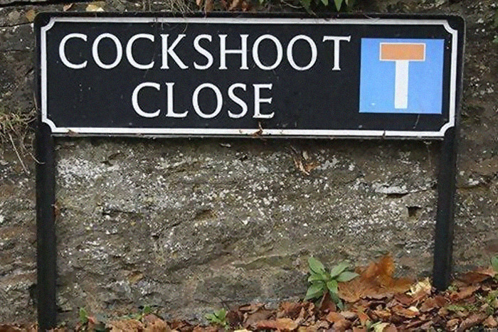 Cockshoot Close