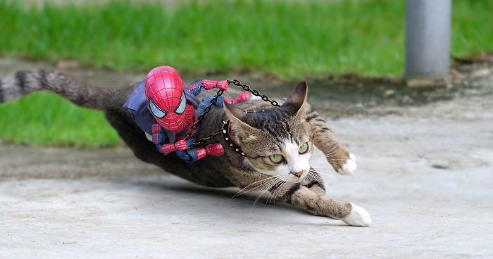Artist Puts Baby Spiderman And Cats In The Funniest Scenarios (30 Pics)