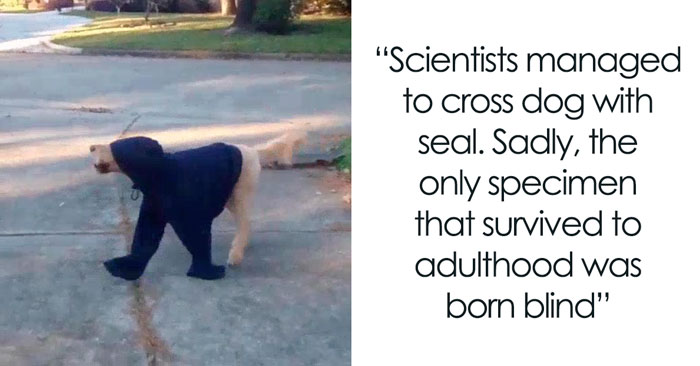 45 Animal Fake Facts That Will Crack You Up