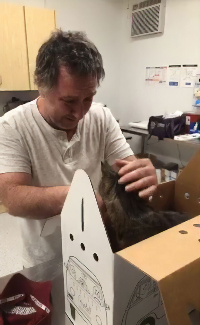 Setelah 7 tahun berpisah, pria ini bertemu kembali dengan kucingnya