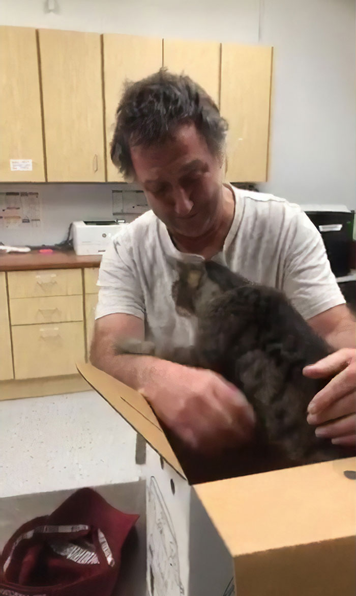 Setelah 7 tahun berpisah, pria ini bertemu kembali dengan kucingnya