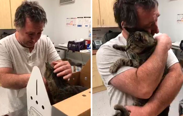 Man Gets Reunited With His 19-Year-Old Cat 7 Years After He Went Missing