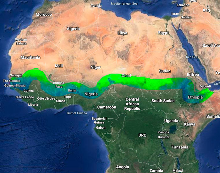 Over 20 Countries Started Building The “Great Green Wall” To Stop Climate Change & Poverty