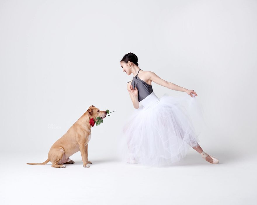 Dancers & Dogs Playfully Share The Spotlight In A New Photography Book