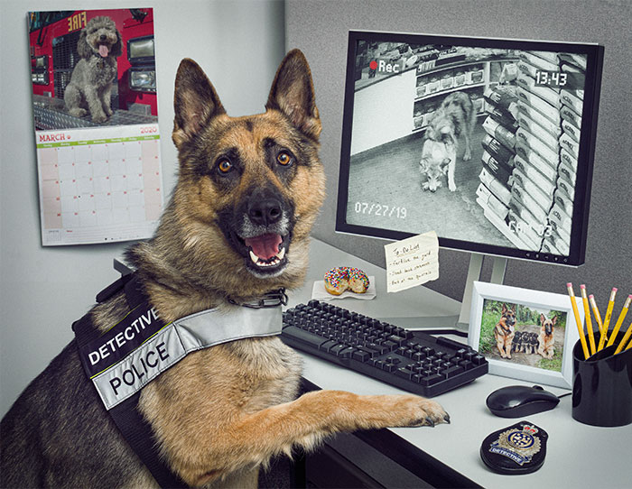 I Was Asked By The Waterloo Police To Make Them A Kickass Calendar, And Here Is The Result (14 Pics)
