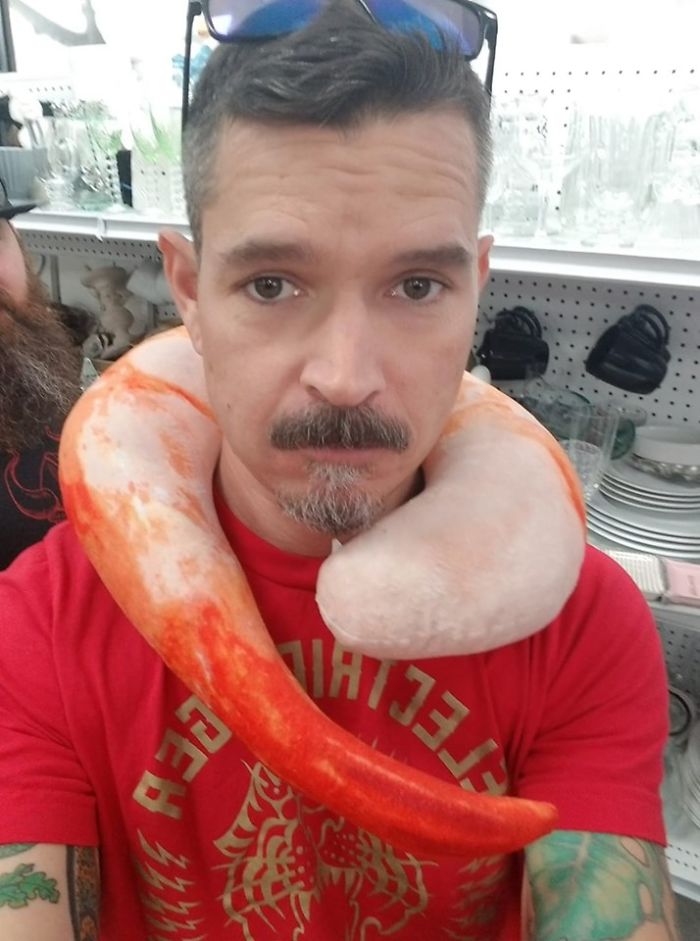 Does A Shrimpy Travel Pillow Count As A Weird Secondhand Find?