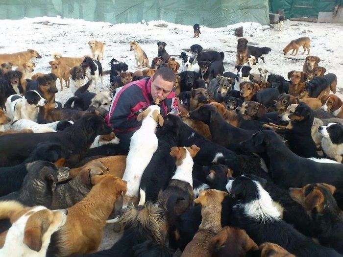 Guy Takes In Pups That No One Wants, Runs A Shelter With 750 Dogs